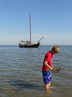 Lemsteraak  Bries droog gevallen