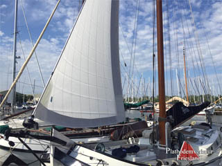 Lemsteraak  Bries nieuw rolfok 2019