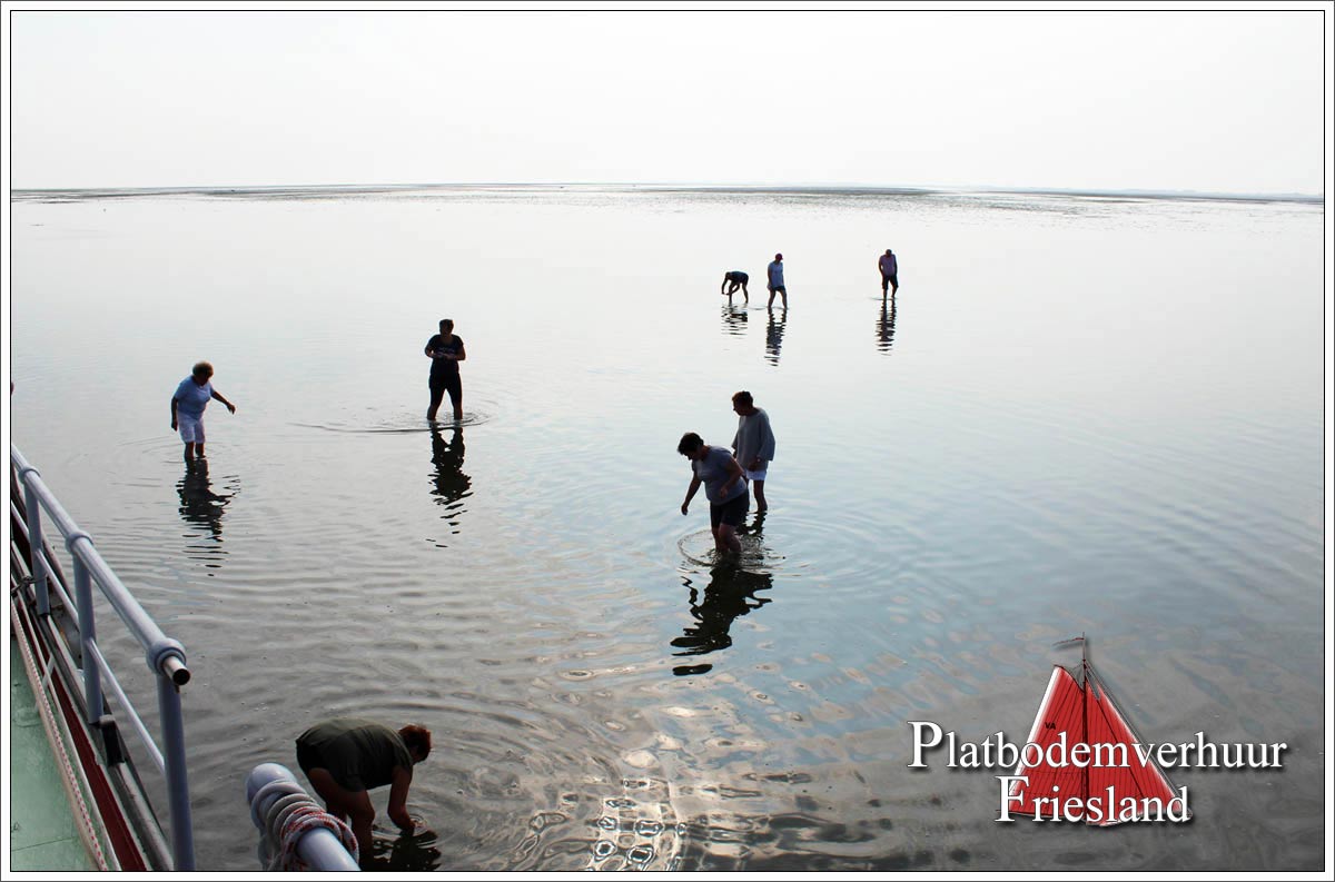 Stevenaak AALTJE ENGELINA droog gevallen op het wad Stevenaak AALTJE ENGELINA droog gevallen op het wad